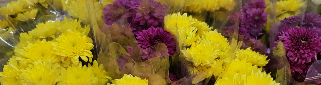 Blumen und Edelsteine